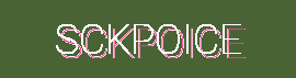Where Comfort Meets Style – Sneakers, Work Bags & Fashion Flats at Sckpoice